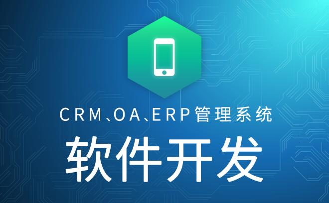 企业管理软件开发crm/oa/erp系统